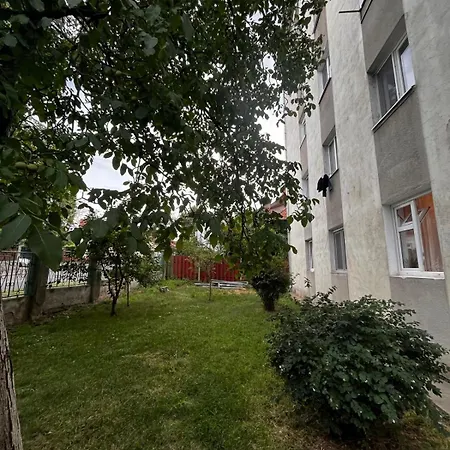 Mimosa Studio Cluj-Napoca Exterior photo