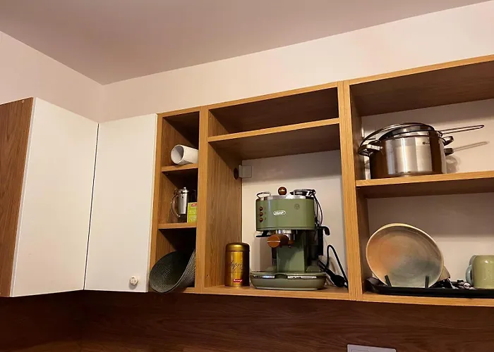 Mimosa Studio