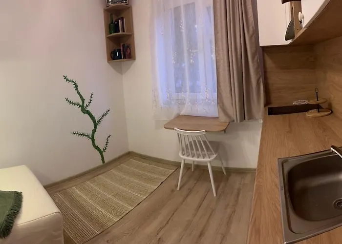 Mimosa Studio