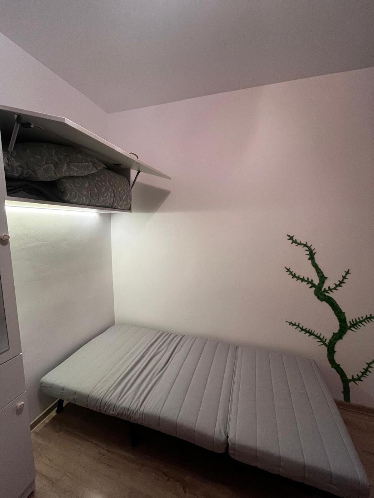 Mimosa Apartamento Cluj-Napoca